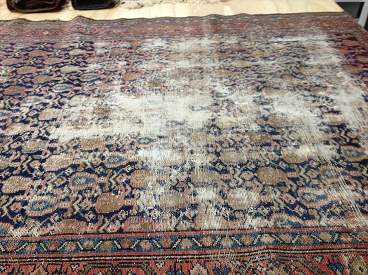 KellyWilliamson Expert Rug Cleaning Lexington Lexington, KY